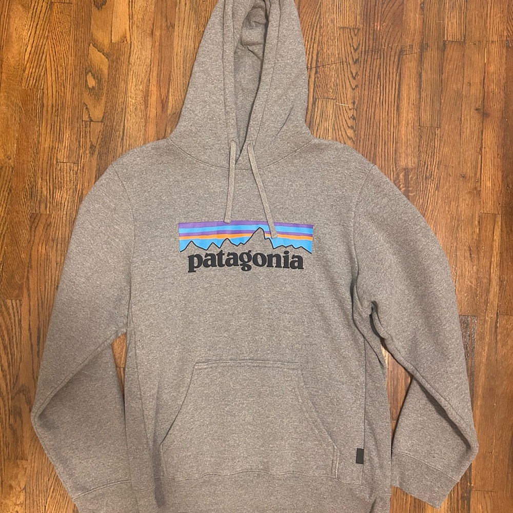 Patagonia Hoodie